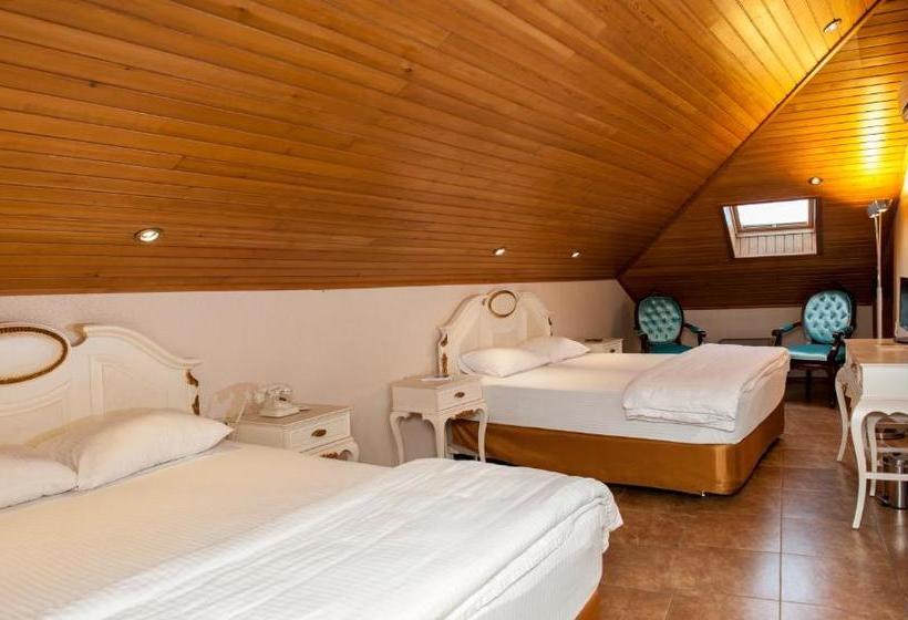 Cankaya Konaklari Boutique Hotel  Special Class