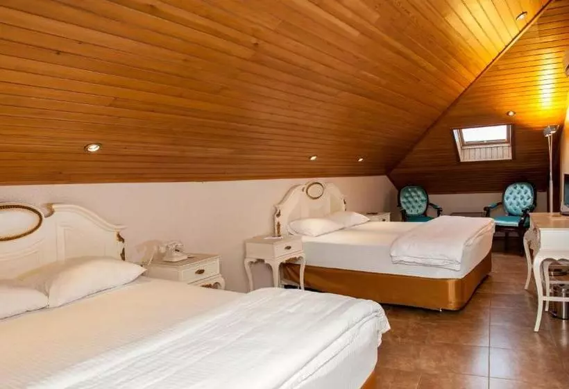 Cankaya Konaklari Boutique Hotel  Special Class