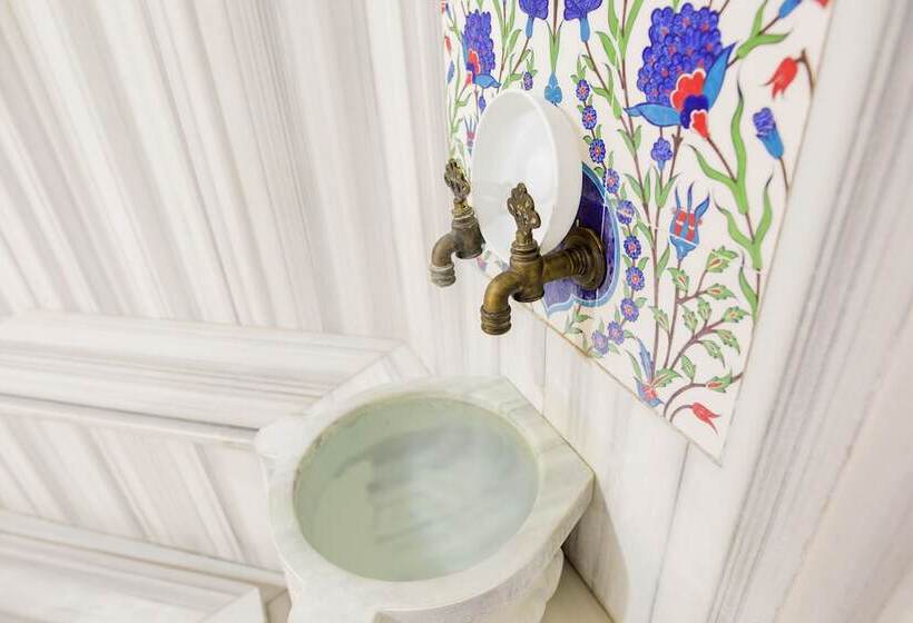 בית מלון כפרי Cavusoglu Tower