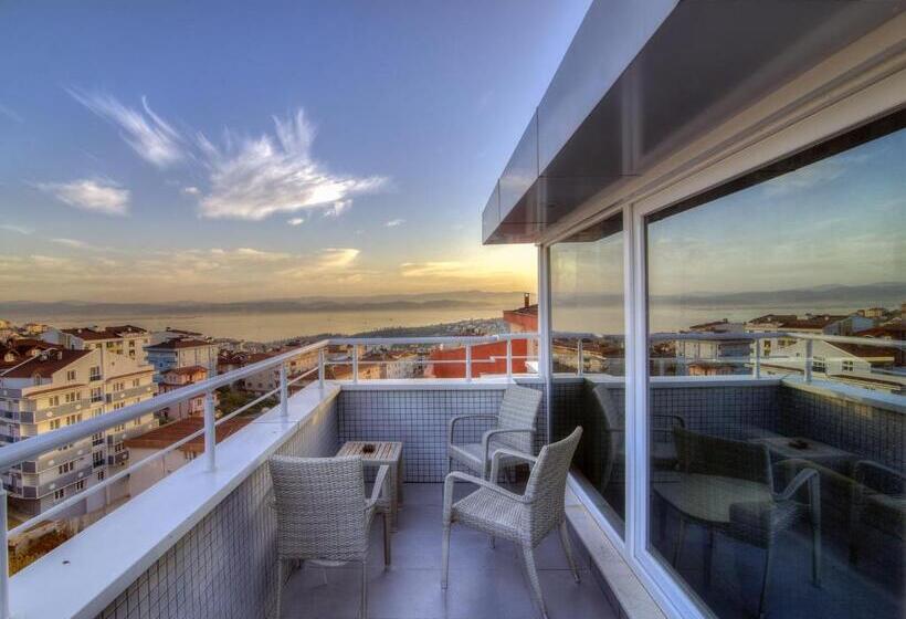 酒店 Fesa Business