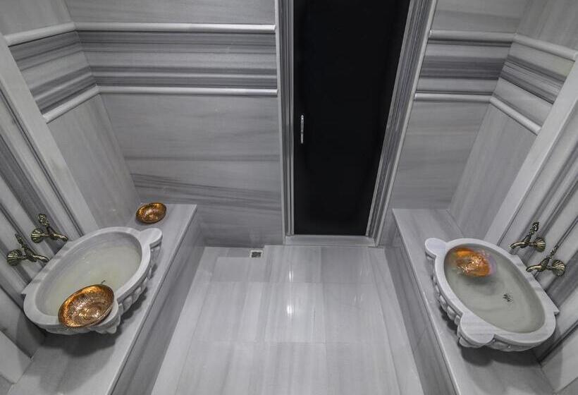 酒店 Fesa Business