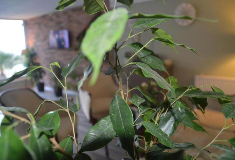 בית מלון כפרי Hugo