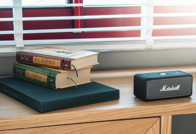 בית מלון כפרי Kapya Cunda