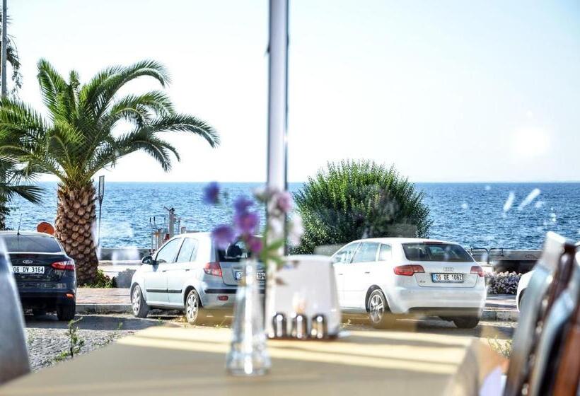 בית מלון כפרי Perla