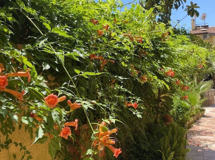 فندق Villa Danlin