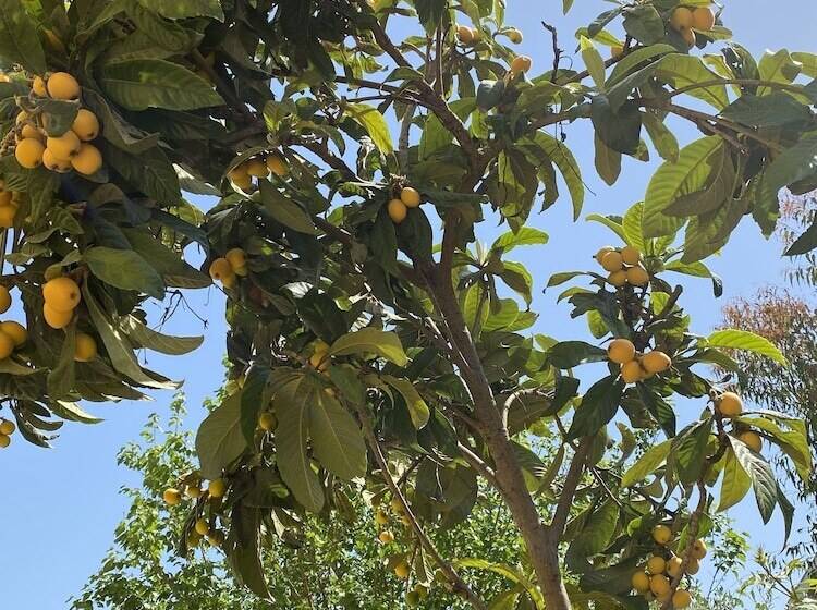 فندق Villa Danlin