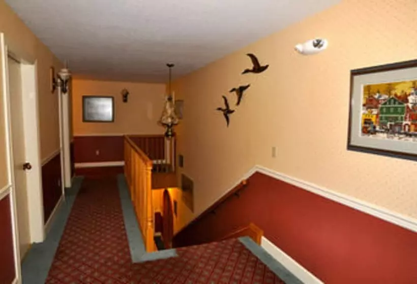 ベッドアンドブレックファースト Soldotna Alaska Fishing Lodge