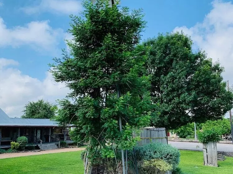 ホテル Gruene Homestead Inn