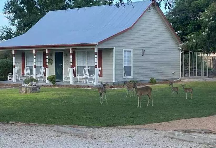 ホテル Gruene Homestead Inn