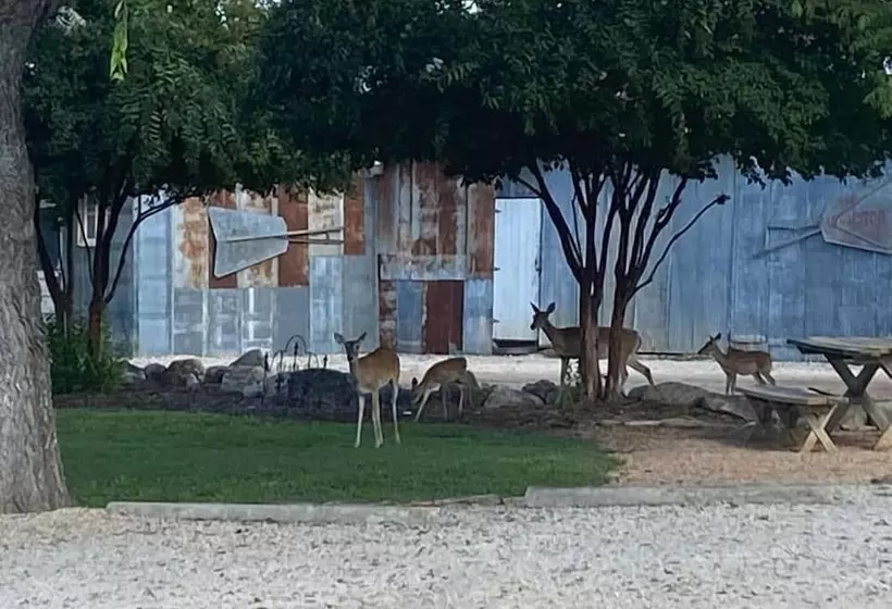 ホテル Gruene Homestead Inn