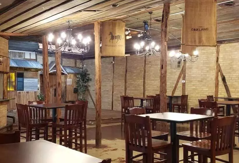 ホテル Gruene Homestead Inn