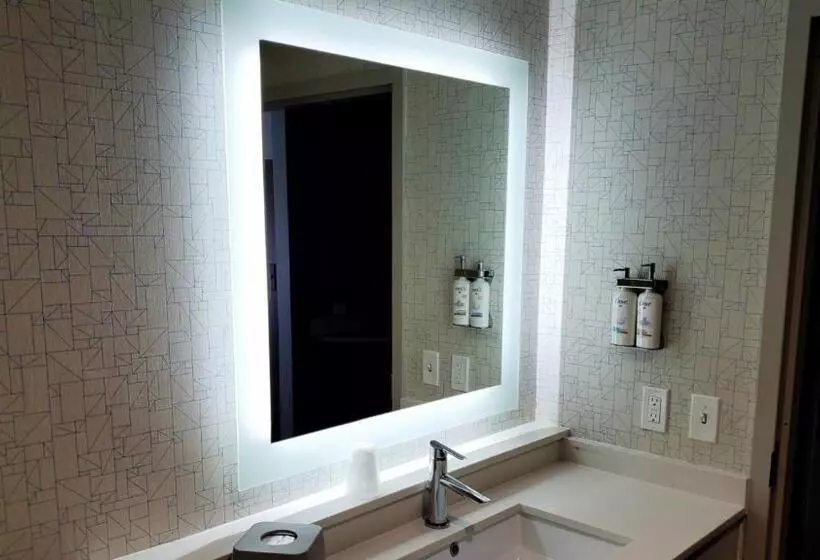 ホテル Holiday Inn Express & Suites Moore, An Ihg