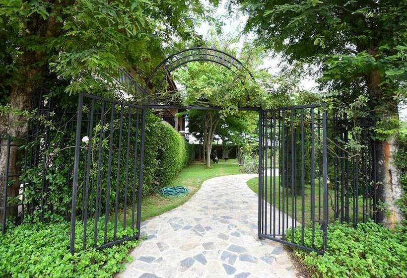 酒店 Rose Villa Resort