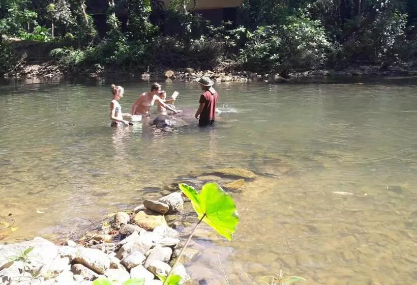 Khao Sok Holiday Resort