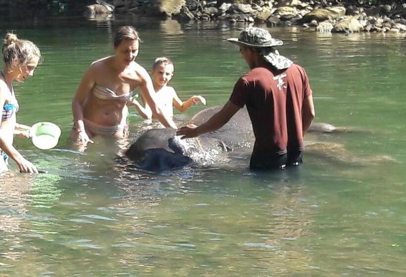 Khao Sok Holiday Resort