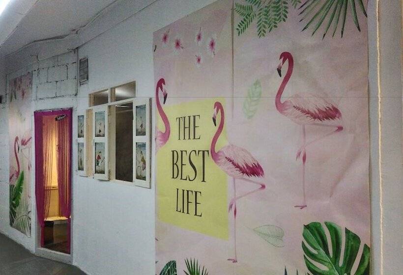 هاستل Tamada House