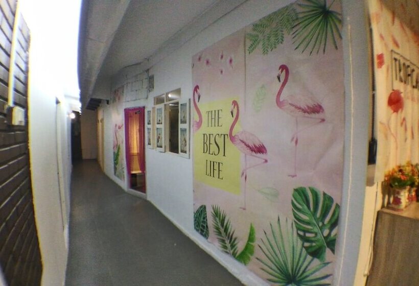 هاستل Tamada House