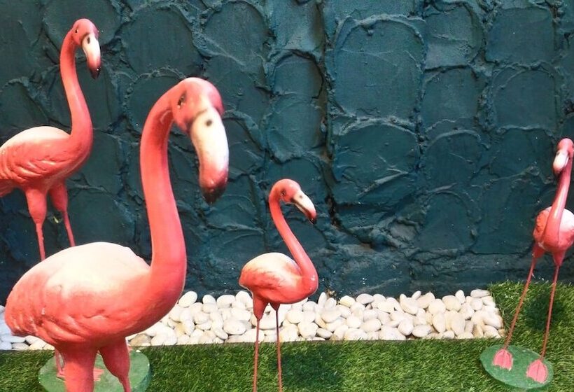 هاستل Tamada House