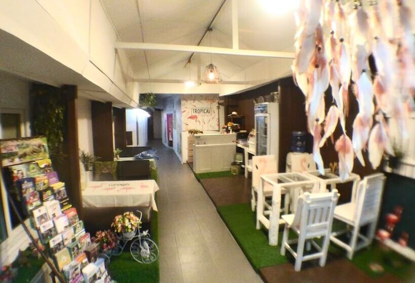 هاستل Tamada House