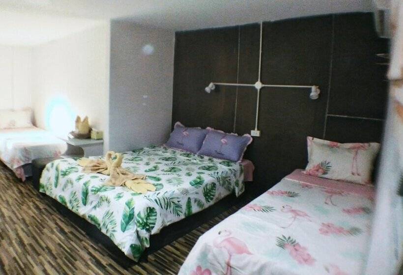 هاستل Tamada House