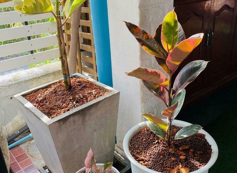 پانسیون Baan Keang Chon Ayutthaya บ้านเคียงชล อยุธยา