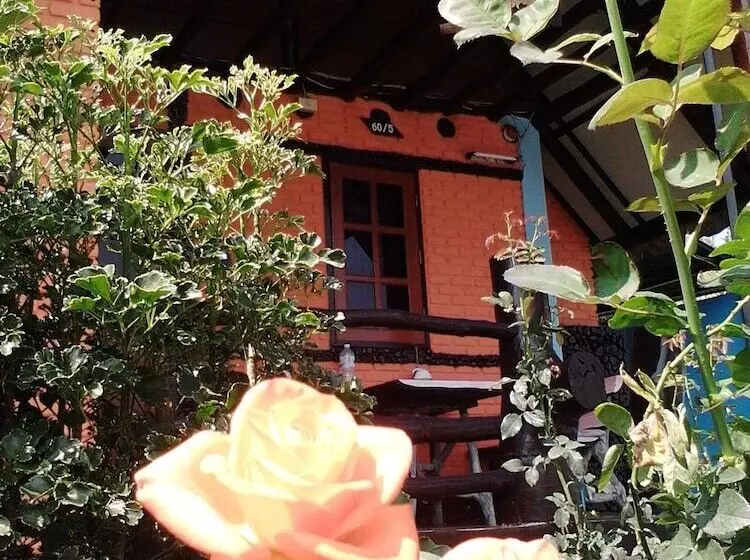 پانسیون View Point Lodge