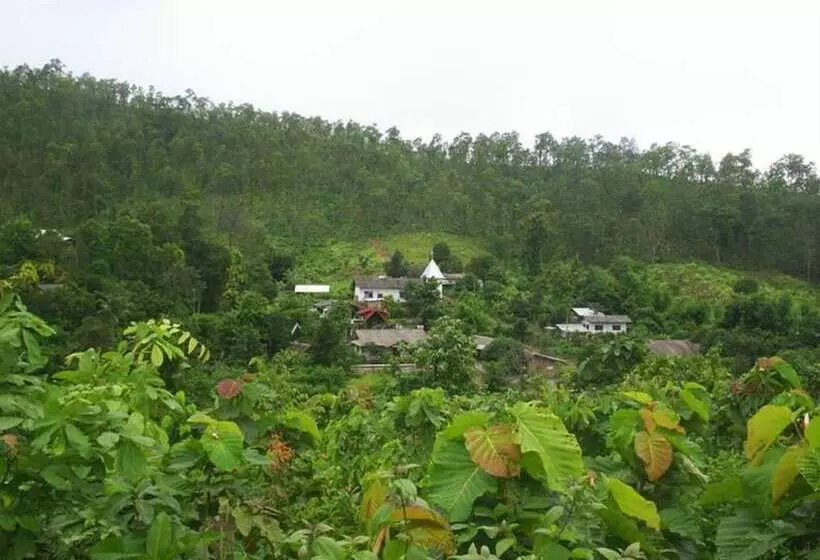 پانسیون View Point Lodge