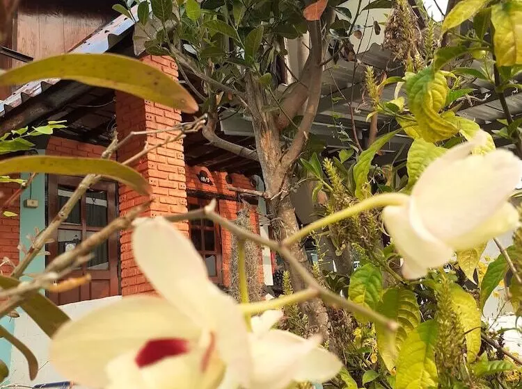 پانسیون View Point Lodge