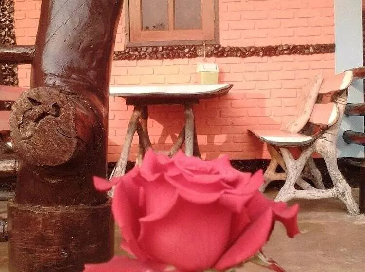 پانسیون View Point Lodge