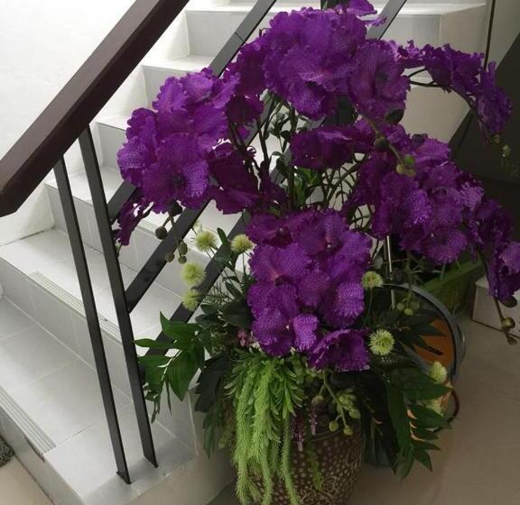 فندق Baba Guest House