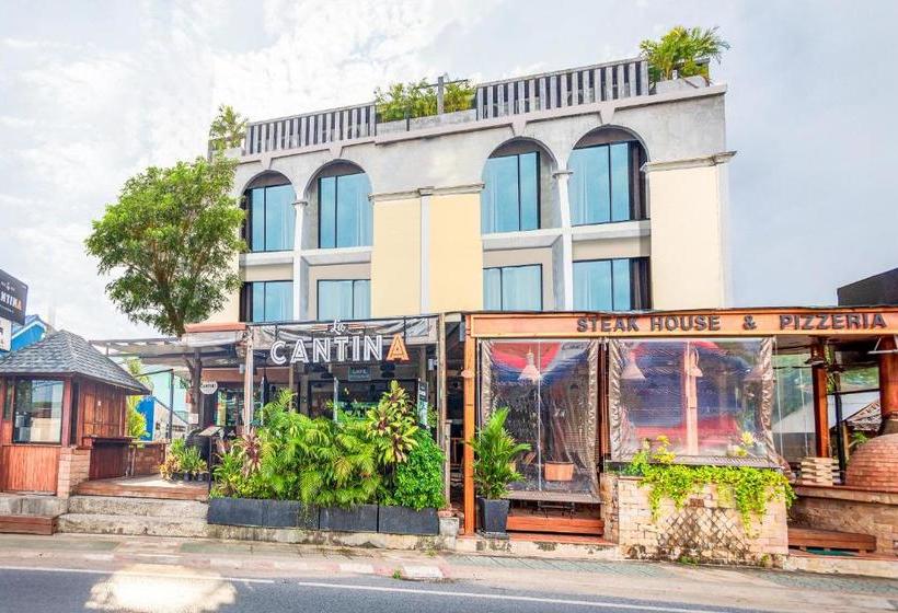 בית מלון כפרי Pine House