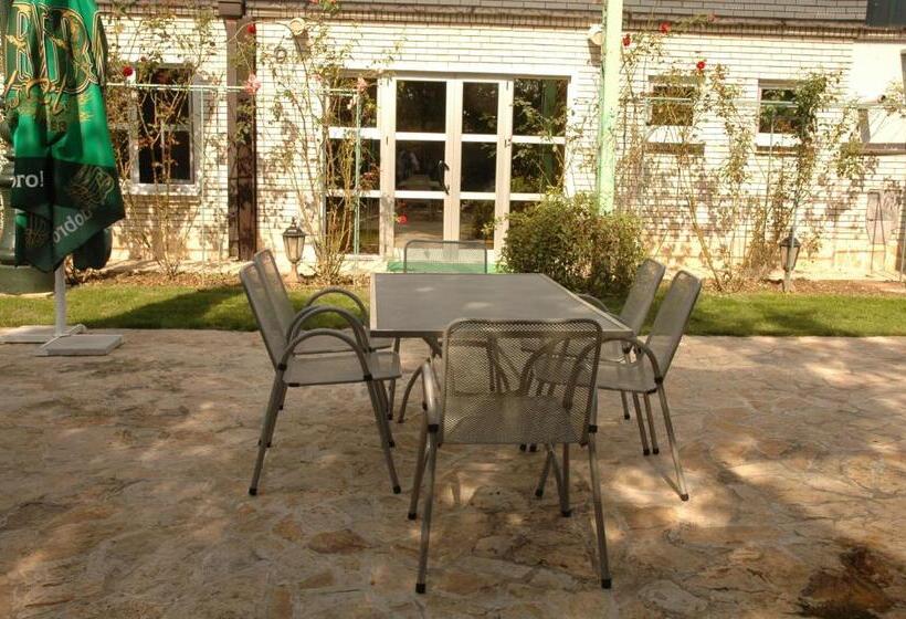 هتل Vila Lux Milikic