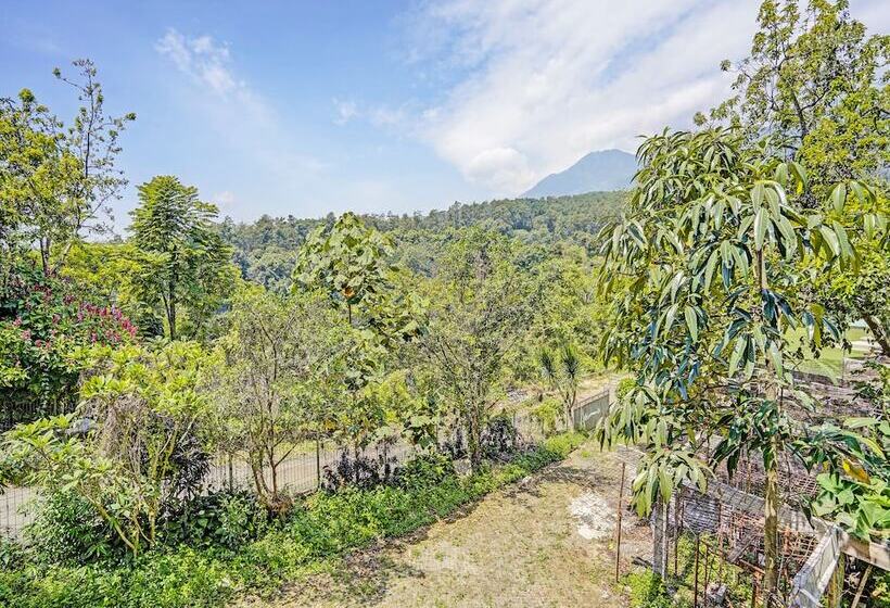 호텔 Villa A1 By Oyo