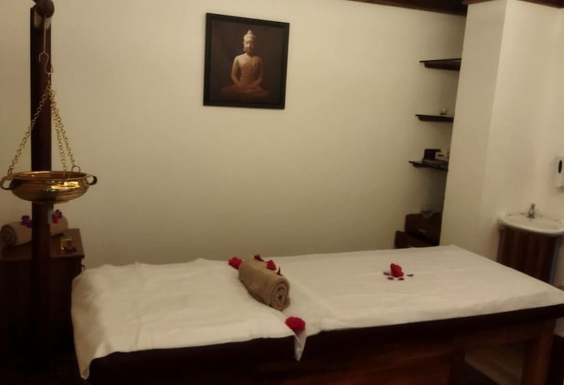 Hotel Chandys Drizzle Drops Munnar Top Station