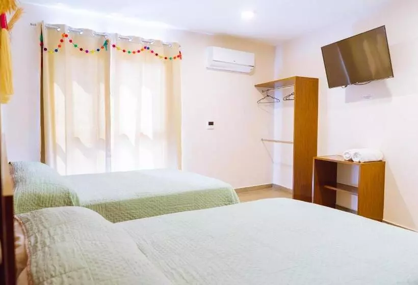 ホテル Santa Martha Bungalows