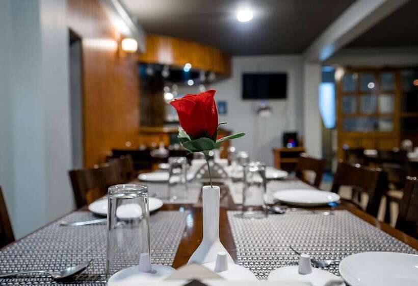 Szálloda Sparrow Juniper Tree 2 Min Walk To Mg Marg