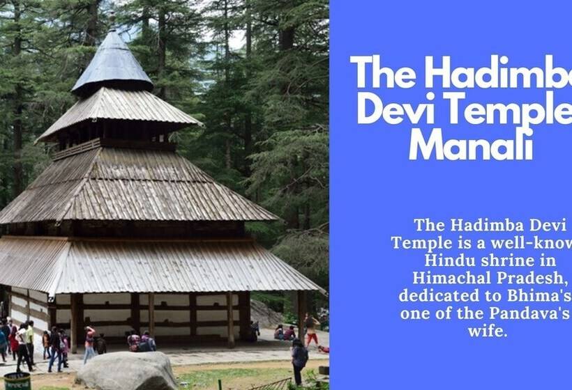 Tiaraa Hotels & Resorts   A Luxury Resort Manali