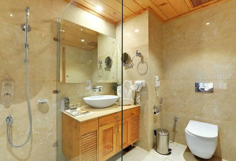 Tiaraa Hotels & Resorts   A Luxury Resort Manali