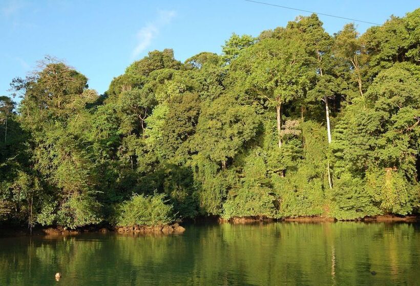 호텔 Drake Paradise Point