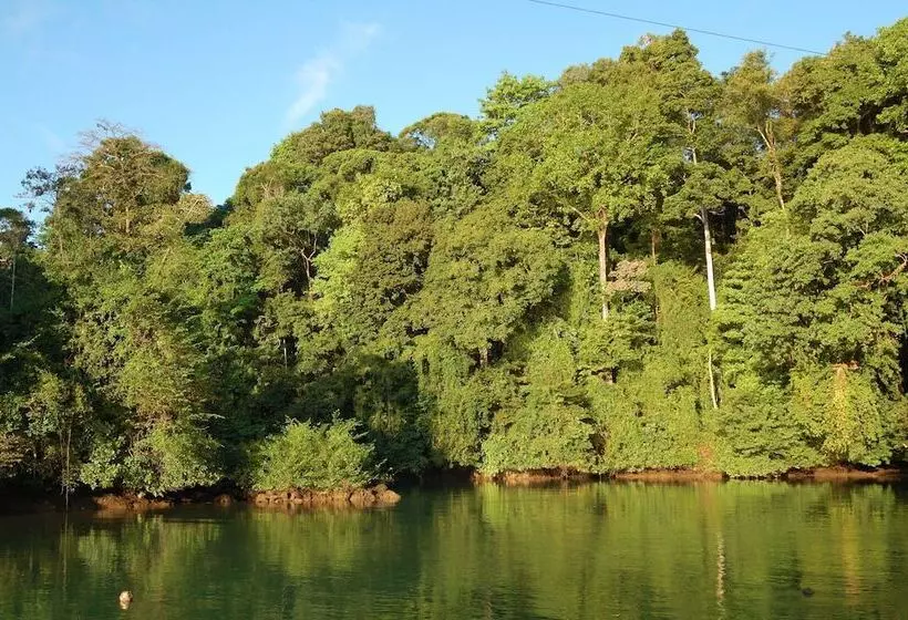 هتل Drake Paradise Point