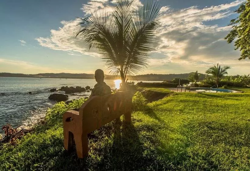 هتل Drake Paradise Point