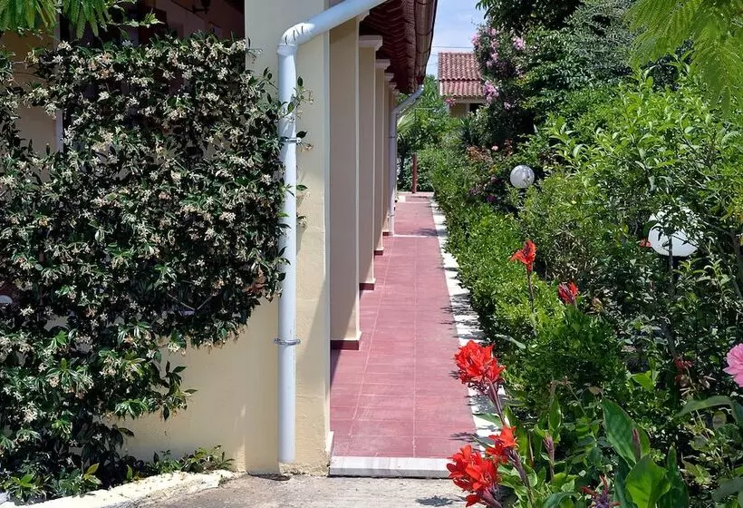 ホテル Feeloxenia Corfu Apartments