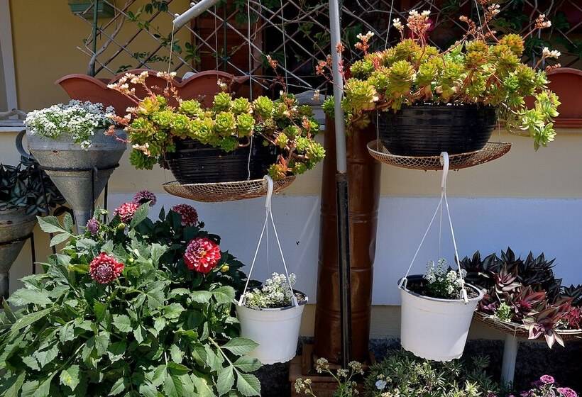 호텔 Feeloxenia Corfu Apartments