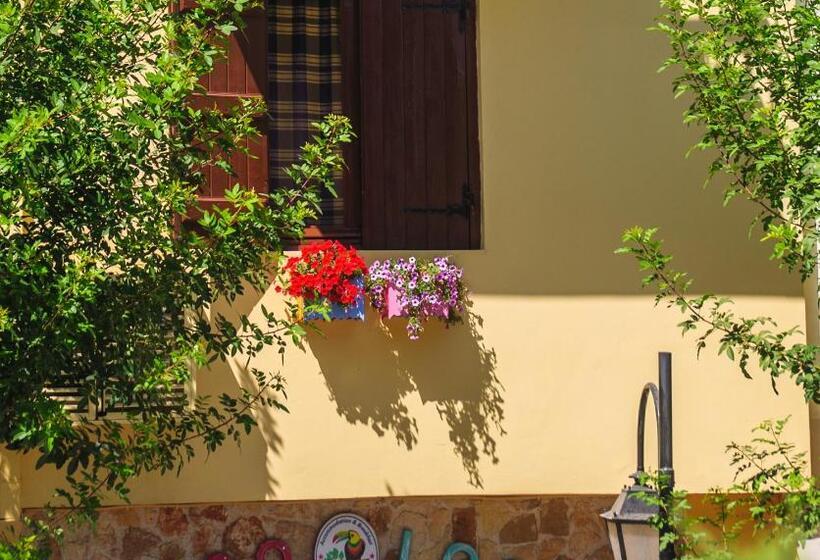 Отель Poco Loco Bed & Breakfast