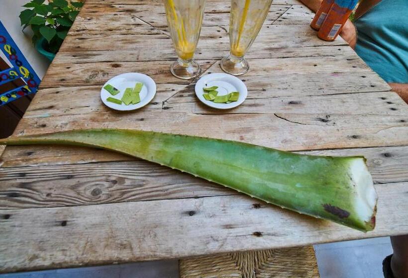 Отель Poco Loco Bed & Breakfast