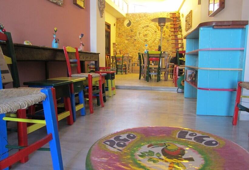 Отель Poco Loco Bed & Breakfast