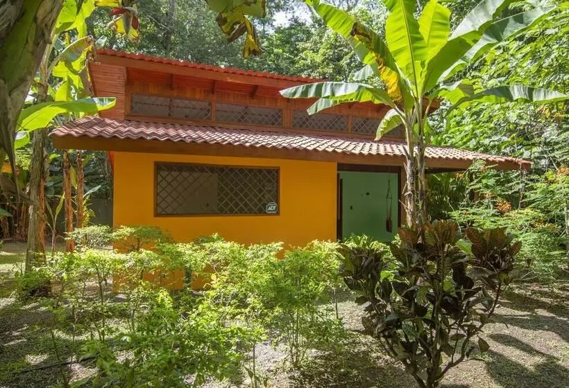Colores Del Caribe