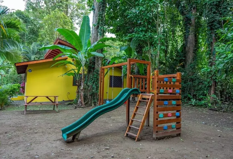 Colores Del Caribe