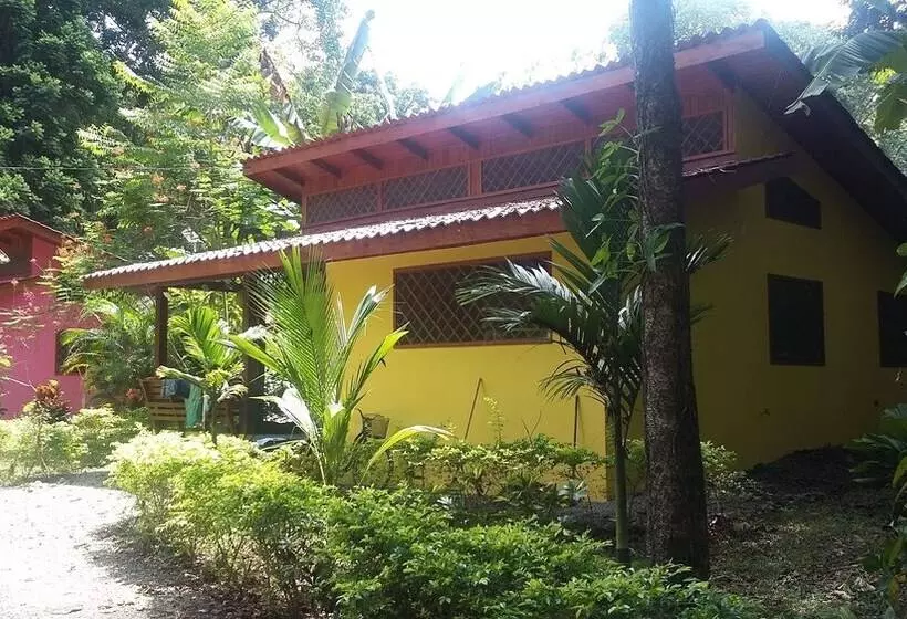 Colores Del Caribe