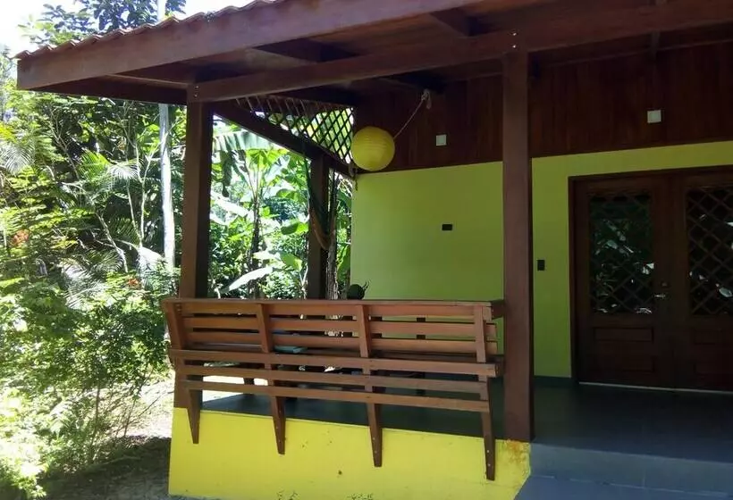 Colores Del Caribe